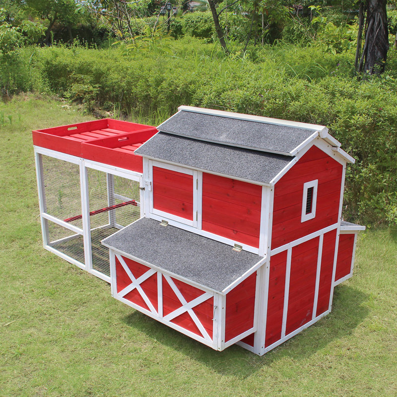 Tucker Murphy Pet™ Hopwood 15.1 Square Feet Chicken Coop with Chicken